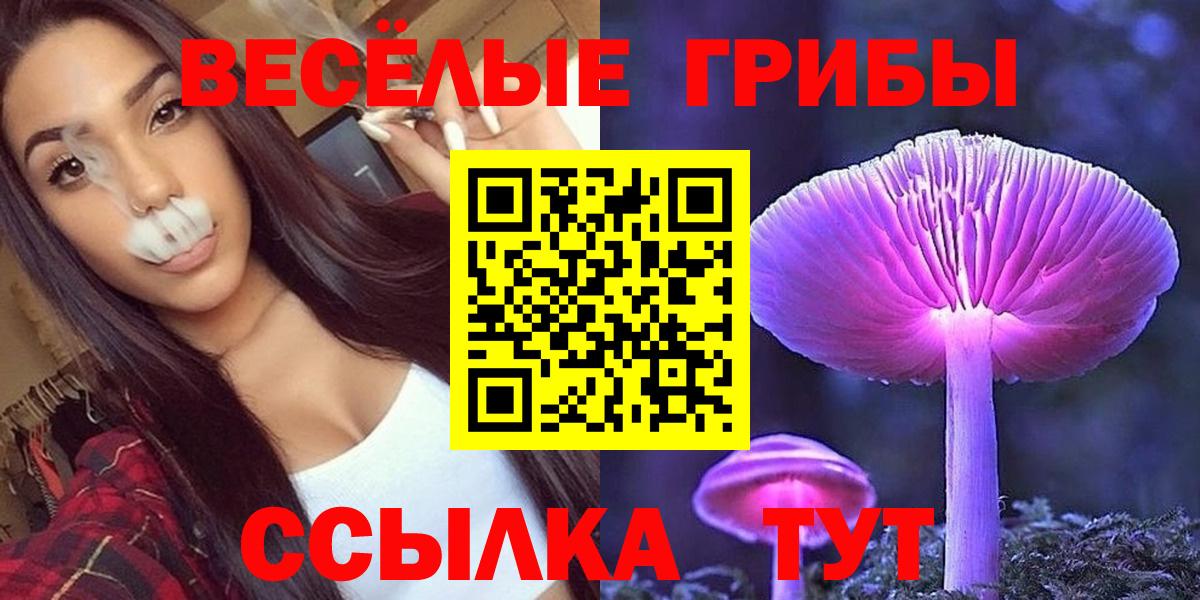 Галлюциногенные грибы Psilocybine cubensis Петрозаводск