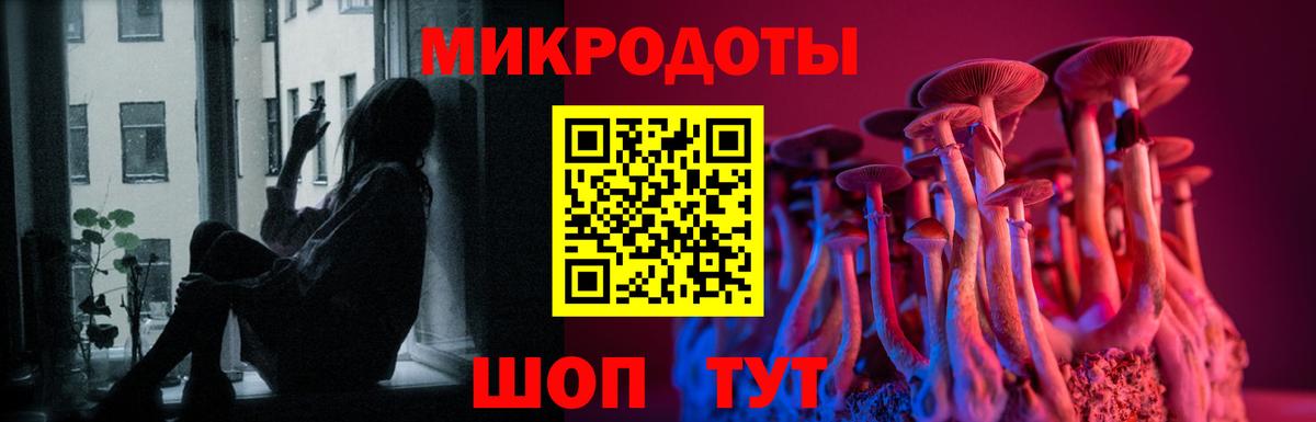 Псилоцибиновые грибы Psilocybe  Вход с VPN  Галлюциногенные грибы GOLDEN TEACHER  Петрозаводск 